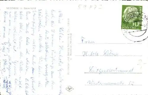 Ak Meschede im Sauerland, Panorama