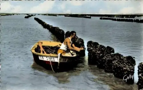 Ak Châtelaillon Charente Maritime, Travail aux Bouchots