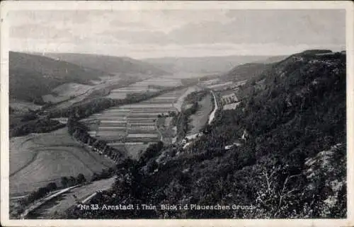 Ak Arnstadt in Thüringen, Plauescher Grund, Panorama