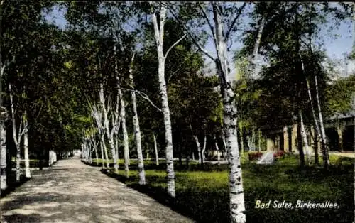 Ak Bad Sulza, Blick in die Birken Allee mit Haus