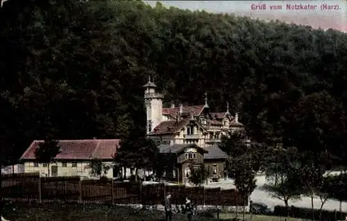 Ak Netzkater Harz, Blick zum Ort, Hotel Netzkater, Bes. E. Liesegang, Jungen mit Schulranzen