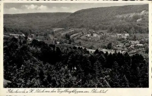 Ak Bleicherode am Harz, Bleichtal, Blick von den Vogelklippen