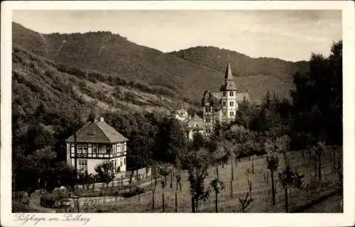 Ak Sülzhayn Ellrich Thüringen, Teilansicht, Kirche