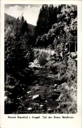 Ak Kipsdorf Altenberg im Erzgebirge, Tal der Roten Weißeritz