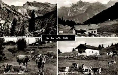 Ak Krün in Oberbayern, Fischbachalm, Lakaiensteg mit Saiernhaus, Jaghütte, Kühe