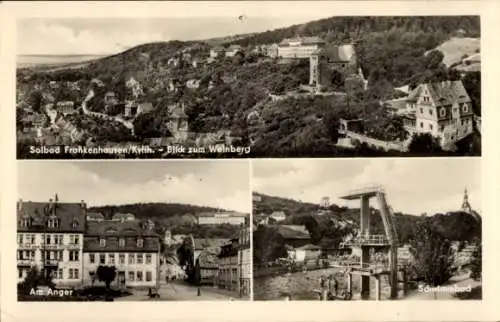 Ak Bad Frankenhausen am Kyffhäuser Thüringen, Gesamtansicht, Weinberg, Am Anger, Schwimmbad