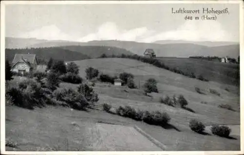 Ak Hohegeiß Braunlage im Oberharz, Panorama