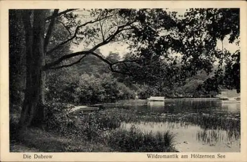 Ak Groß Köris im Kreis Dahme Spreewald, Die Dubrow, Wildromantik, Hölzerner See