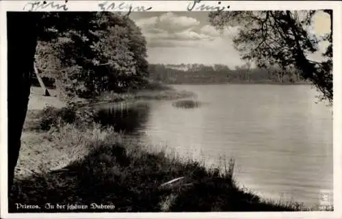 Ak Prieros in der Mark, Dubrow, See, Panorama