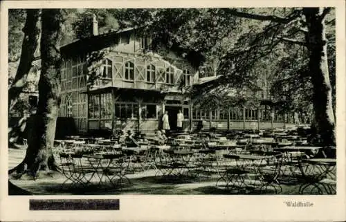 Ak Stubbenkammer Sassnitz auf Rügen, Gasthaus Waldhalle