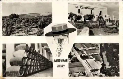 Ak Jerez de la Frontera Andalusien Spanien, Sandeman Vineyards und Bodegas, Sherry