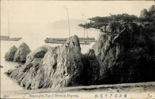 Ak Japan, Kiefernbaum auf dem Felsen