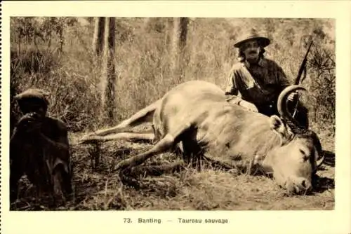 Ak Afrika, Jäger mit erlegtem Stier