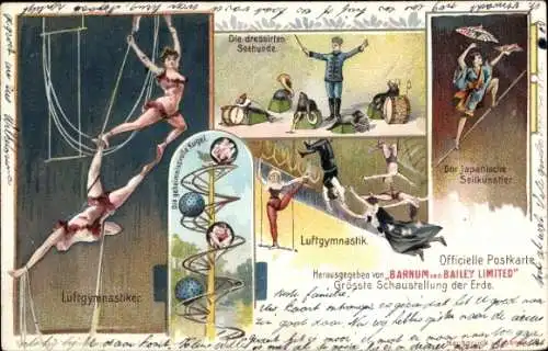 Litho Zirkus Barnum & Bailey, Luftgymnastiker, dressierte Seehunde, Seilkünstler