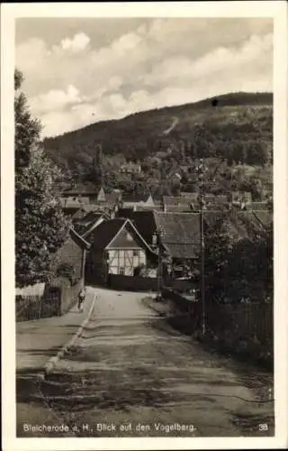 Ak Bleicherode am Harz, Blick auf den Vogelberg