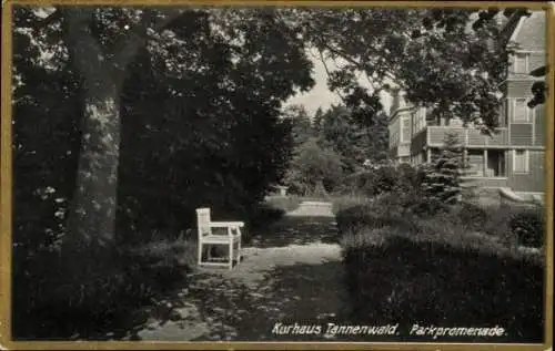 Ak Benneckenstein Oberharz, Kurhaus Tannenwald, Christliches Hospiz, Parkpromenade