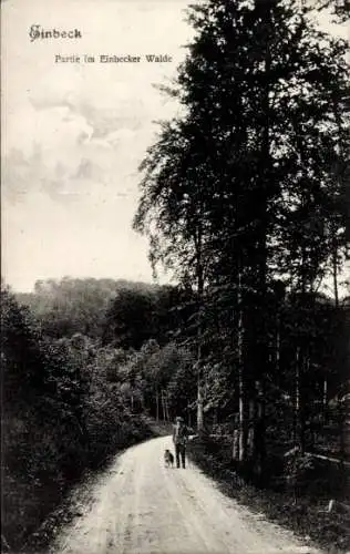 Ak Einbeck in Niedersachsen, Wald, Teilansicht, Mann, Hund