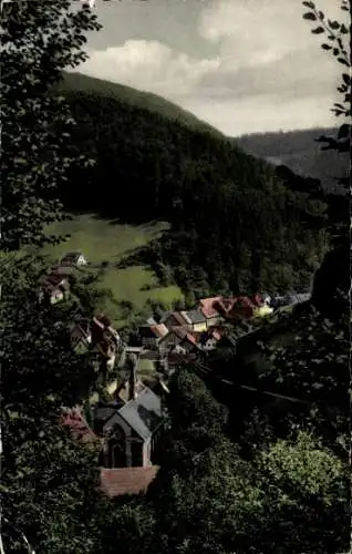 Ak Zorge Walkenried im Harz, Blick vom Wilh.-Schnute-Blick, Mittelzorge, Panorama