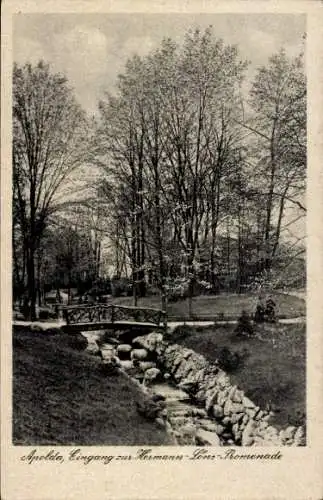 Ak Apolda in Thüringen, Eingang Hermann-Löns-Promenade, Brücke