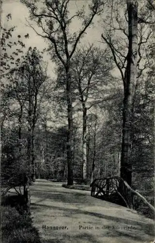 Ak Hannover Eilenriede, Teilansicht, Brücke