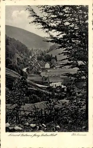 Ak Sieber im Harz Aschenhütte, Hotel "Zum Spass"