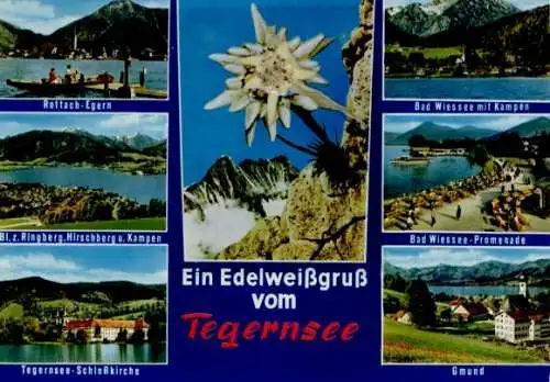 Material Ak Gmund am Tegernsee Oberbayern, Edelweiß, Rottach, Egern, Schlosskirche