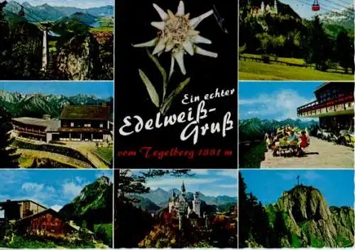 Material Ak Schwangau im Ostallgäu, Tegelberg, Edelweiß, Seilbahn, Gasthaus