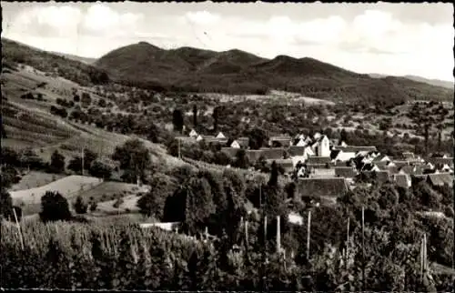 Ak Feldberg Müllheim in Baden Markgräflerland, Panorama, Weinbau Gasthof Ochsen