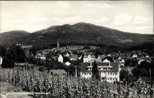 Ak Müllheim in Baden Markgräflerland, Panorama