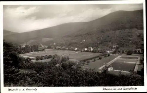 Ak Neustadt an der Weinstraße, Schwimmbad, Sportgelände, Panorama