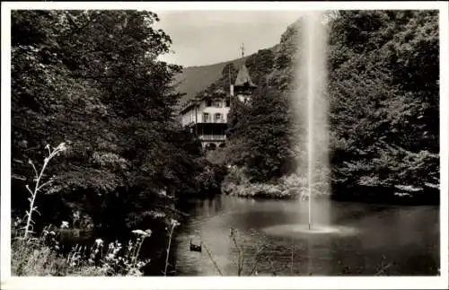 Ak Königsmühle Neustadt an der Weinstraße, Blick auf Fontaine, Wald, Haus