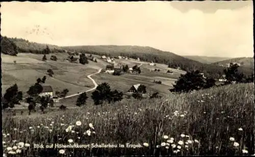 Ak Schellerhau Altenberg im Erzgebirge, Totalansicht