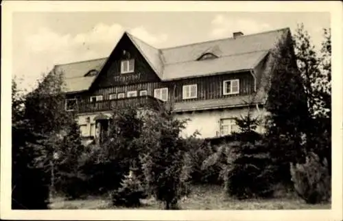 Ak Schellerhau Altenberg im Erzgebirge, Kirchliches Erholungsheim Mayenhof