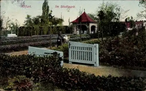 Ak Erfurt in Thüringen, Stadtpark