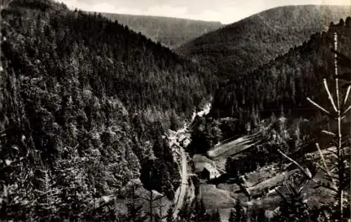 Ak Saargrund Eisfeld in Thüringen, Pechgrund, Friedrichshöhe