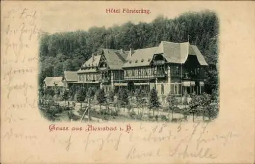 Ak Alexisbad Harzgerode am Harz, Hotel Försteling