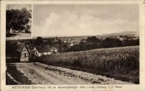 Ak Wettelrode Sangerhausen Südharz, Gesamtansicht, tausendjährige Linde