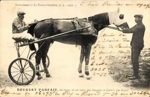 Ak Pferderennsport, Bouquet Parfait, La France Chevaline 1910