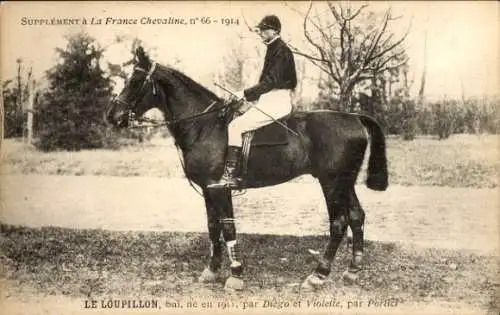 Ak Jockey auf einem Rennpferd, Le Loupillon, La France Chevaline 1914