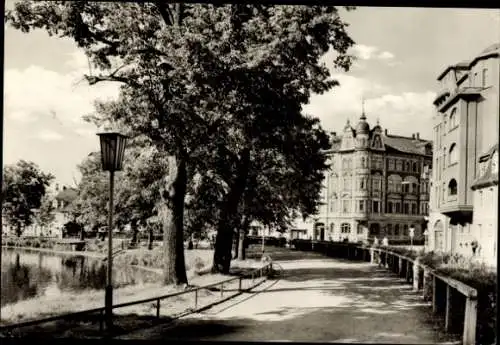 Ak Altenburg in Thüringen, Teichpromenade