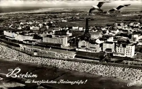 Ak Nordseebad Borkum in Ostfriesland, Luftbild, Panorama, Möwen