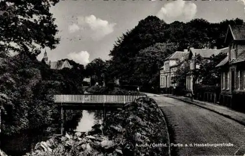 Ak Aurich in Ostfriesland, Hasseburgstraße, Teilansicht, Brücke