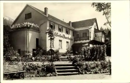 Ak Scheuern Gernsbach im Schwarzwald, Gasthof Auerhahn