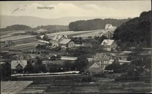 Ak Steinbergen Rinteln an der Weser, Gesamtansicht