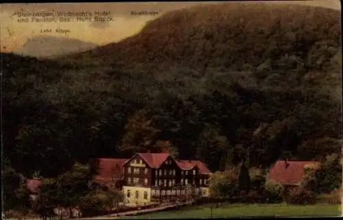 Ak Steinbergen Rinteln an der Weser, Teilansicht, Wolbrechts Hotel