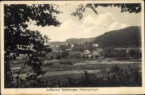 Ak Steinbergen Rinteln an der Weser, Gesamtansicht