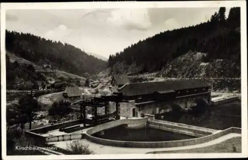 Ak Kirschbaumwasen Forbach im Schwarzwald, Gasthof Pension Waldeck, Teilansicht