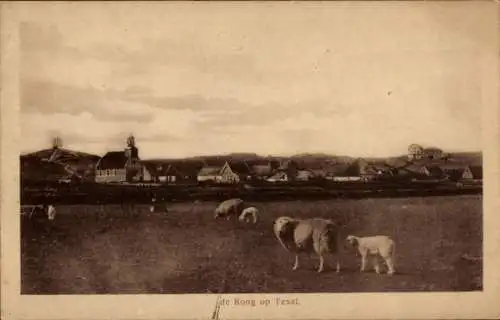 Ak De Koog Texel Nordholland Niederlande, Panorama