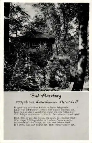 Ak Bad Harzburg am Harz, 900jähriger Kaiserbrunnen Heinrichs IV., Höhenhotel Burgberg