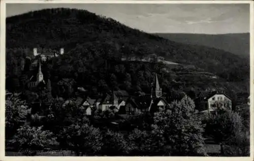 Ak Seeheim Jugenheim an der Bergstraße, Panorama